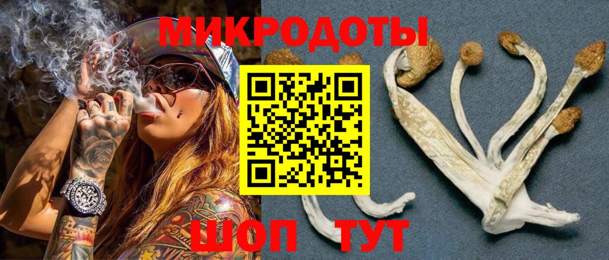 Галлюциногенные грибы ЛСД Гай